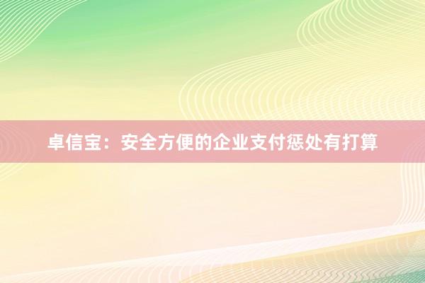 卓信宝：安全方便的企业支付惩处有打算
