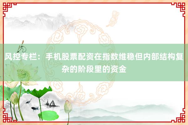 风控专栏：手机股票配资在指数维稳但内部结构复杂的阶段里的资金