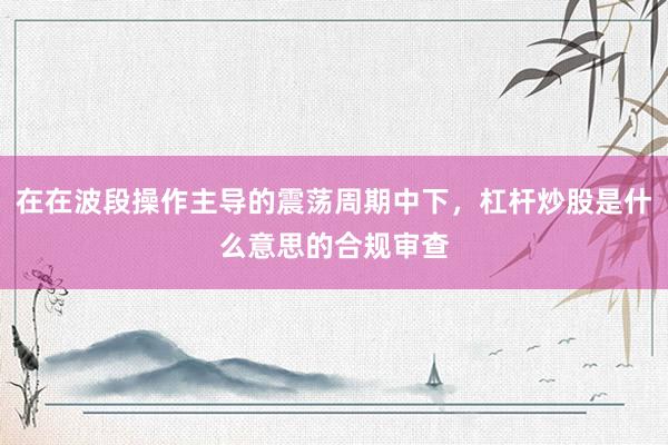 在在波段操作主导的震荡周期中下，杠杆炒股是什么意思的合规审查
