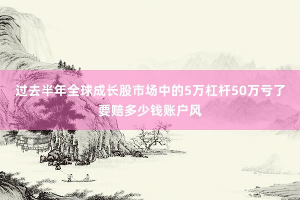过去半年全球成长股市场中的5万杠杆50万亏了要赔多少钱账户风