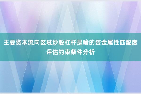 主要资本流向区域炒股杠杆是啥的资金属性匹配度评估约束条件分析